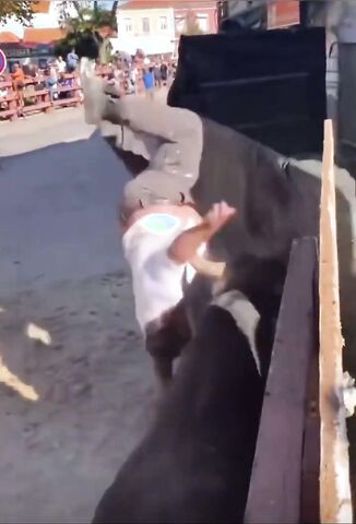 Fat Guy Falls Into The Bull Ring Run And Lives To Regret It