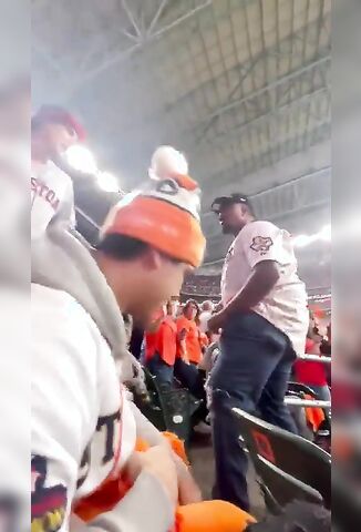 Man Takes A Beating At The Ball Game