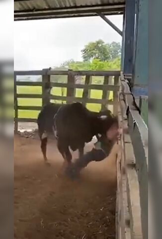 Rodeo Rider Dances His Last Rodeo