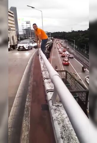 Suicidal Man Backflips Off Bridge Onto Passing Motorcycle