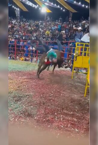 Bull One Rider Zero