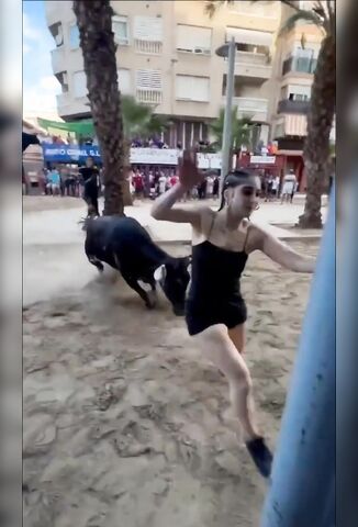 Chick Almost Raped By A Bull