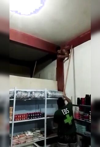 Thief Stuck In The Wall Beaten Like A Pinata With Wooden Poles