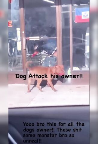 Man With His Ass Hanging Out Gets Attacked By His Own Pitbull