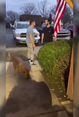 Man Gets Knocked Clean Out For Threatening Mans Dog
