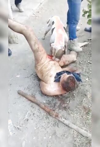 Familia Michoacana's Pitbull Bites Off Rival's Penis In Brutal Torture