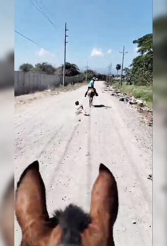 Thief Lassoed And Dragged Down The Dirt Road By Fed Up Locals