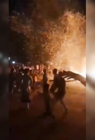 Huge Palm Tree Falls And Kills Dancing Party Goer