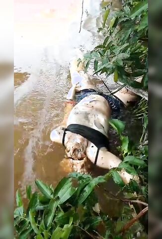 Fisherman Come Across A Decomposing Catch In The River