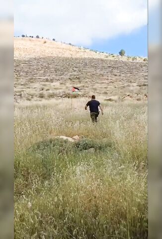 Israeli Tries To Remove A Palestinian Flag That Turns Out Was Mined