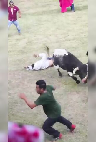 Mans Flesh Ripped Wide Open When He Takes On A Bull