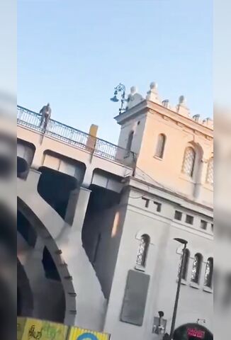 Depressed Man Jumps From Bridge While Onlooker Screams For Help