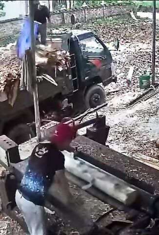 Young Guy Sticks His Hand Into Log Grinding Machine