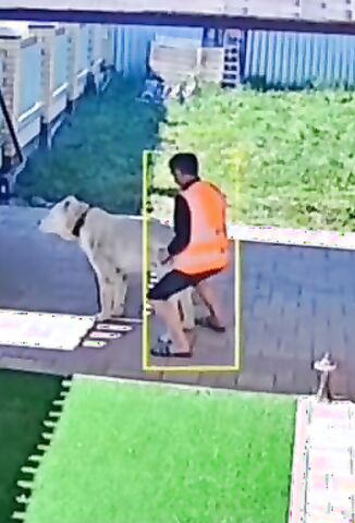 Delivery Man Caught On Camera Fucking The Pet Dog