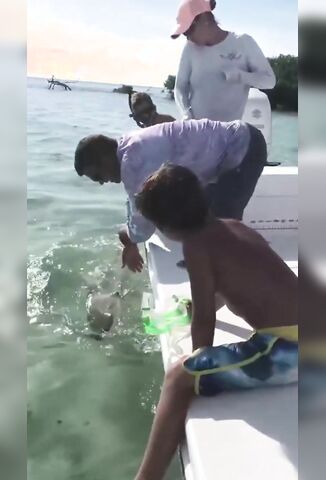 Baby Shark Steals Morons Pinky Finger