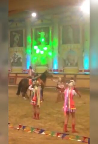 Horse Drags A Performer To His Death In Front Of Shocked Crowd