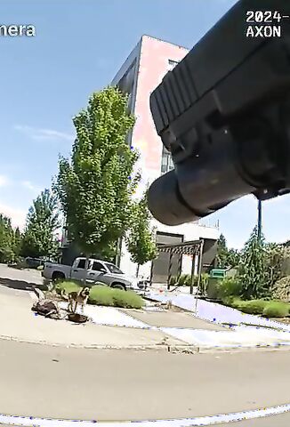 Man Pulls A Gun Throws It Down Then Gets Shot And Killed By Vancouver Officer