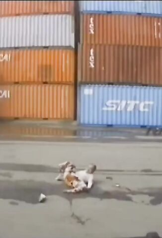 Forklift Accident Leaves Man Looking Like A Frog