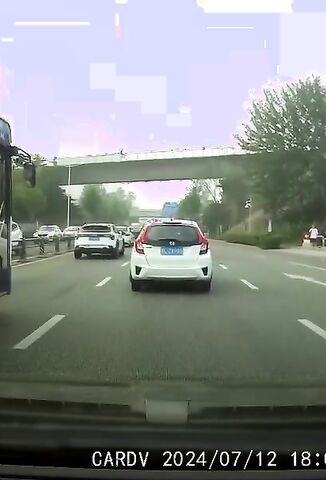 Man Had Enough And Jumps Off Overpass Into The Traffic Below