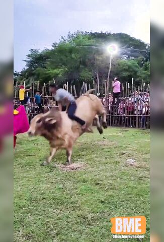 Man Attempting To Ride A Bull Gets Demolished In Seconds