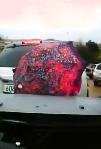 Girl Under The Umbrella Gets Crushed Between Two Cars