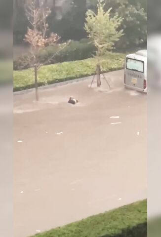 Couple Caught In Flood Waters Smash Into Then Get Stuck Under A Bus And Drown