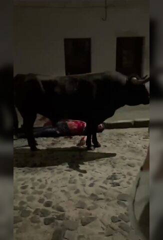 Fucked Around With A Bull And Found Out The Hard Way