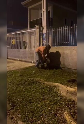 Man Caught Making His Dog Give Him A Blowjob Punished By The Locals