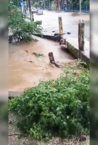 Man Swept Away To His Death In Mexico Nobody Helps They Just Film