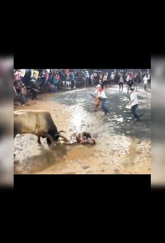 Bull Plays Ragdoll With Stupid Human