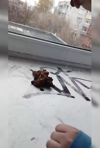 Russian High School Student Licks Shit For A Bet To Win A Free Phone