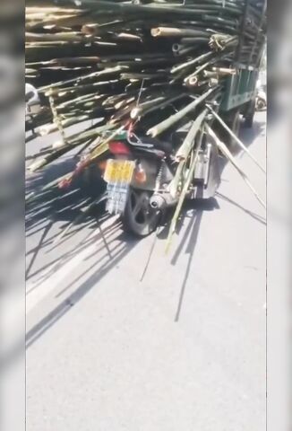 Biker Was Skewered On The Back Of A Bamboo Carrying Truck