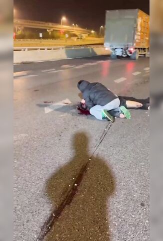 Nice Guy Caring For Their Injured Friend On The Road Suffers The Same Fate