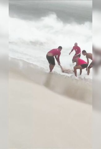 Four Men Go Fishing In The Sea