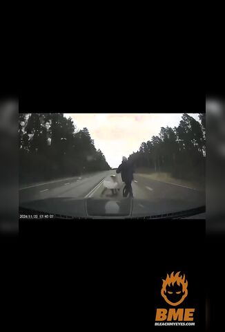 Cyclist Disintegrates On Impact Crossing A High Speed Road