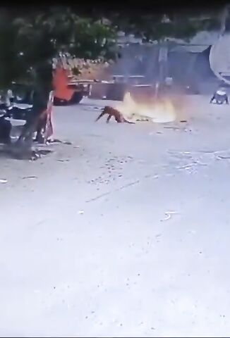 Biker Runover By Truck Then Set Alight By The Fuel Tank Exploding