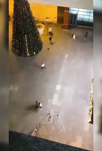 Man Dies During Shooting Between Portuguese Gypsy Groups At Shopping Mall