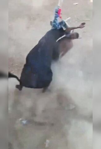 Bull Skewers Man Through The Neck At San Sebastian Fiesta