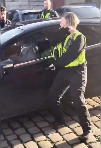 How Many British Cops Does It Take To Smash A Car Window