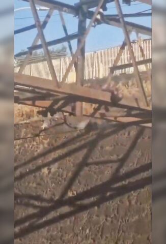 Copper Thief Ends Up Playing Footsie With High Voltage Power Line