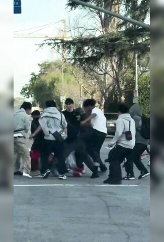 Teen Gets Jumped By An Entire Mob Of Animals