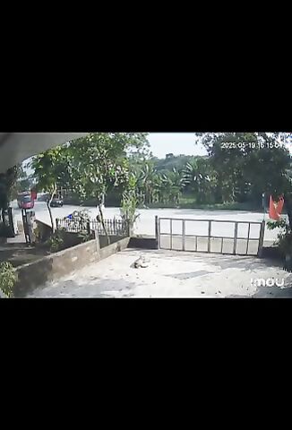 Scooter Rider Takes On A Bus In A Game Of Chicken