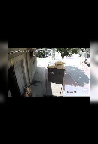 Scooter Rider Final Destination