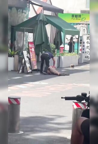 Lunatic Had Enough Brings A Knife To The Fight