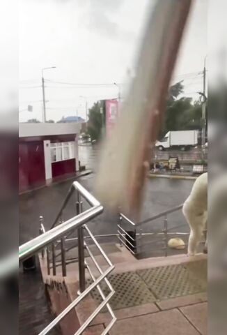 Windy Out