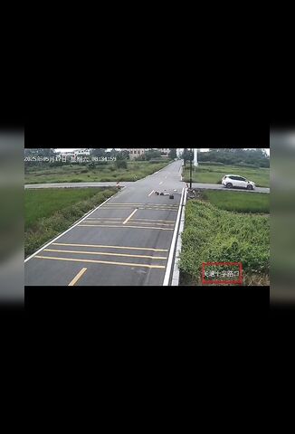 The Yellow Lines Made No Difference