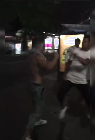 I Box Bitch