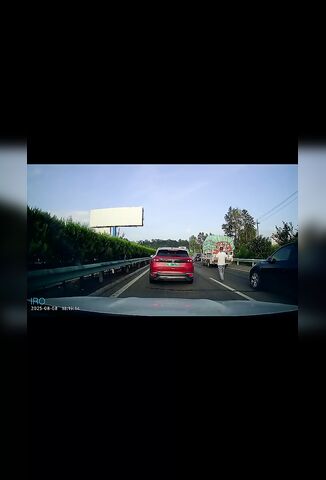 Asshole Trucker Isn't Stopping For Anyone