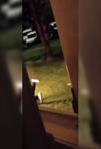 Man Watches Something Horrifying From His Lounge Window