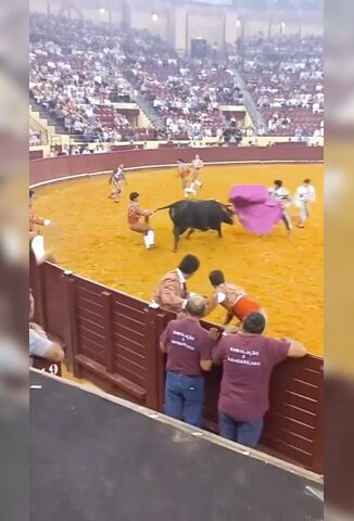 First Time 22 Year Old Bull Fighter Gored To Death By 650kg Bull